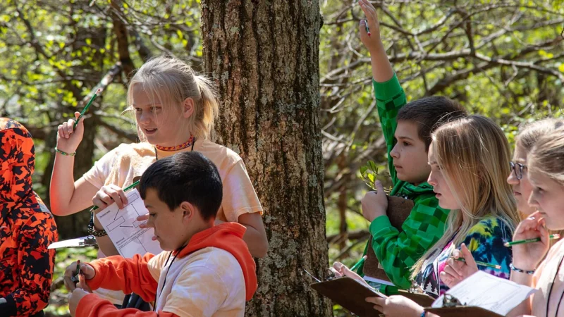 Wycieczki edukacyjne: trasy z przyrodą i muzeami