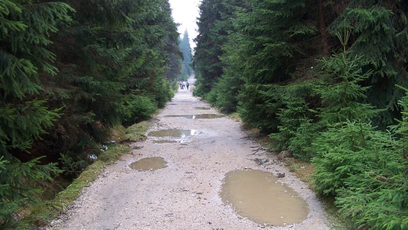 Trasa z wózkiem: jak planować wycieczkę z maluszkiem