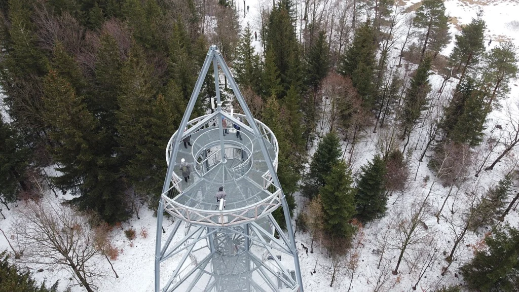 Widok z wieży widokowej Młynica